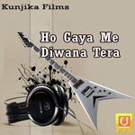 Ho Gaya Me Diwana Tera - Deepak Lohar Song Download